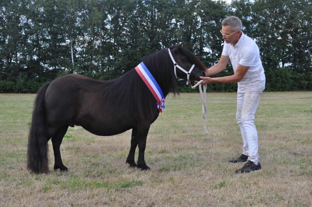 Gucci v.d. Spoorlijn