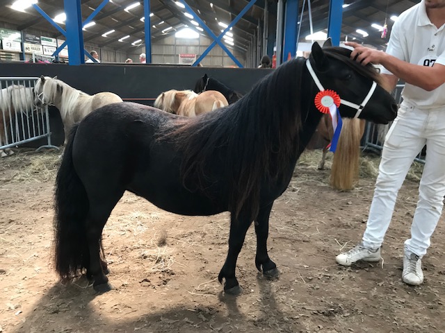 Marylinn v. Stal van Aschberg